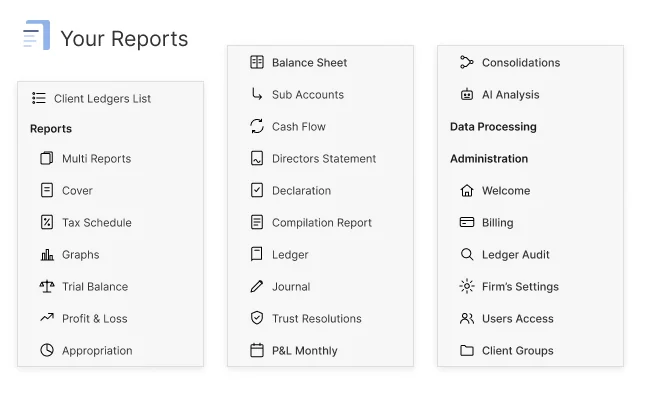 Report menu listing balance sheet, cash flow, trial balance, profit and loss, tax schedule and more